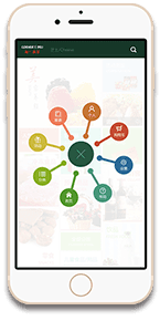 项目分析 项目分析