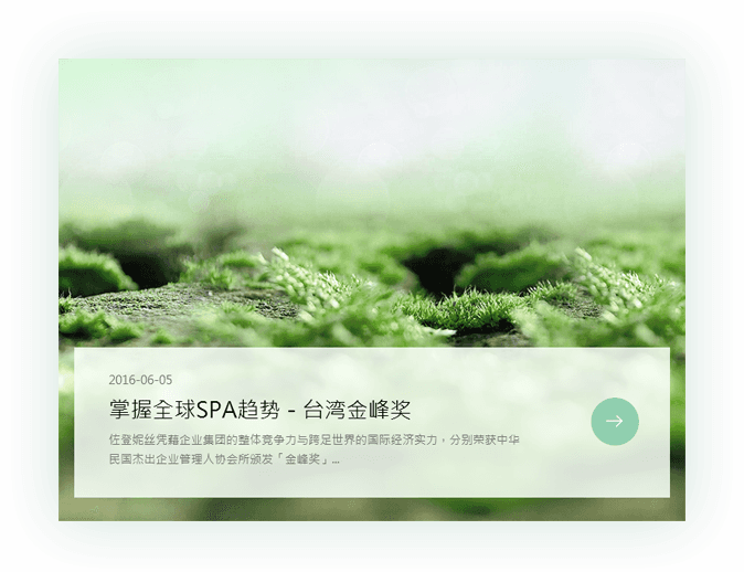 佐登妮丝 佐登妮丝