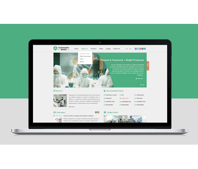 廣州普和醫(yī)藥科技有限公司雙語官網，正式上線