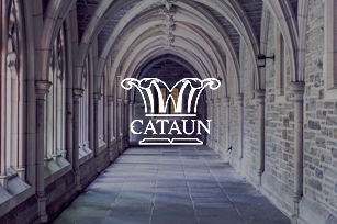 愷廷官方網(wǎng)站建設(shè)項目開通上線啦！