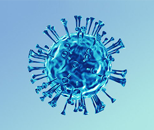 雙鍵貿(mào)易官方網(wǎng)站建設項目開通上線啦！