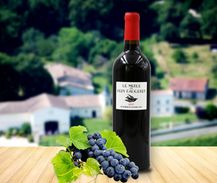 廣州市愛醇貿(mào)易有限公司官網(wǎng)上線了！