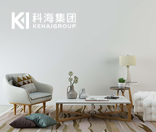 張家口科海官方網(wǎng)站建設(shè)項目開通上線啦！