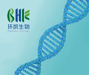 環(huán)凱生物官網(wǎng)網(wǎng)站建設項目開通上線啦！