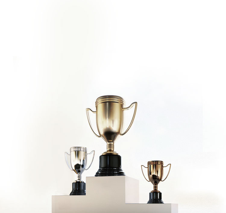 榮譽(yù)資質(zhì)