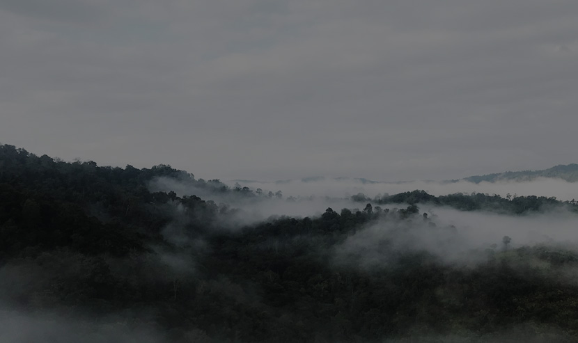 茶葉網(wǎng)站案例 | 今大幅配貨系統(tǒng)平臺