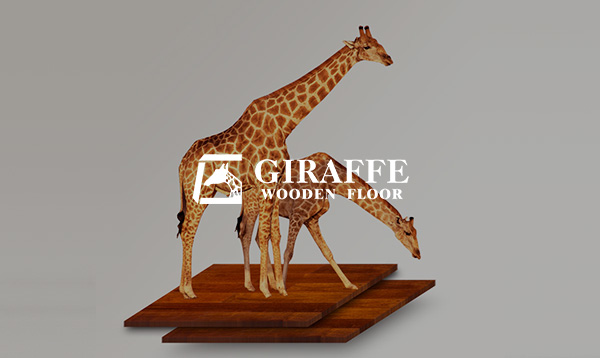 長頸鹿英文網(wǎng)站建設(shè)項目開通上線啦！