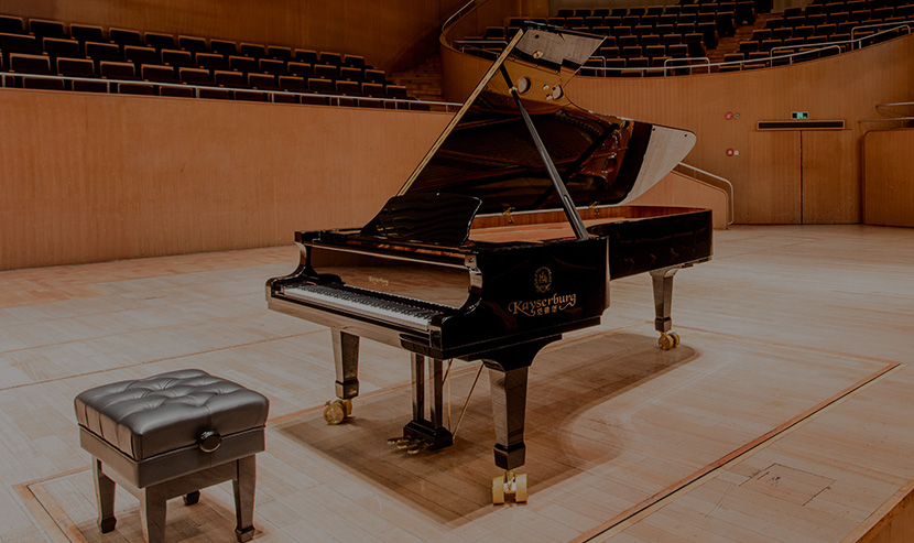 珠江鋼琴手機站開發(fā)