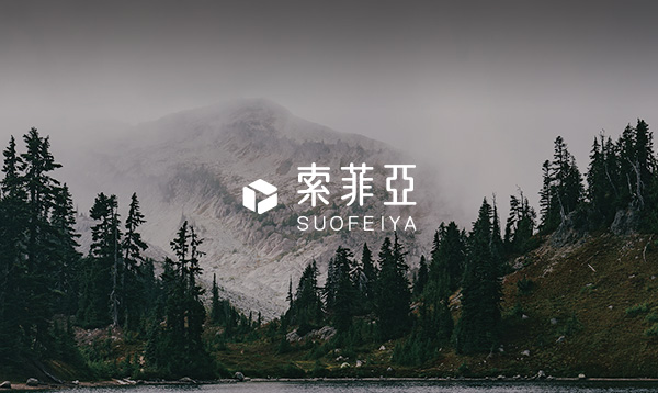 索菲亞海外網(wǎng)站建設(shè)項目開通上線啦！