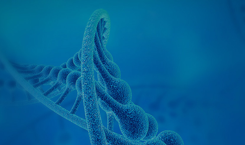 眾愛健康官網(wǎng)網(wǎng)站建設