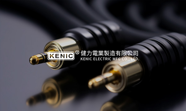 東莞健力電業(yè)制造廠官方網(wǎng)站建設(shè)項目開通上線啦！