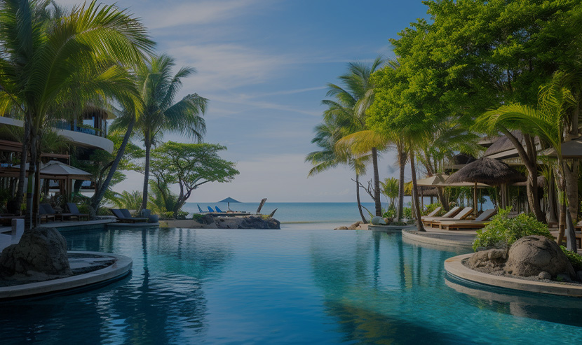 龍門家和官網(wǎng)建設(shè)