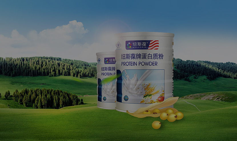 紐斯堡官網(wǎng)網(wǎng)網(wǎng)站建設(shè)