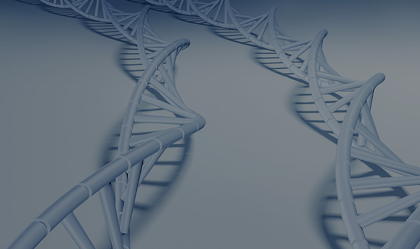 環(huán)凱官網(wǎng)建設(shè)開發(fā)