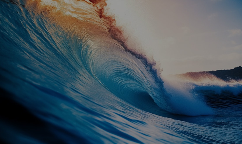 海鱉科技官方網(wǎng)站建設(shè)