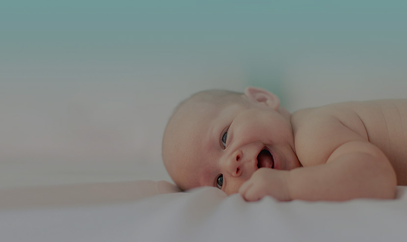 貝樂熊官網(wǎng)建設(shè)