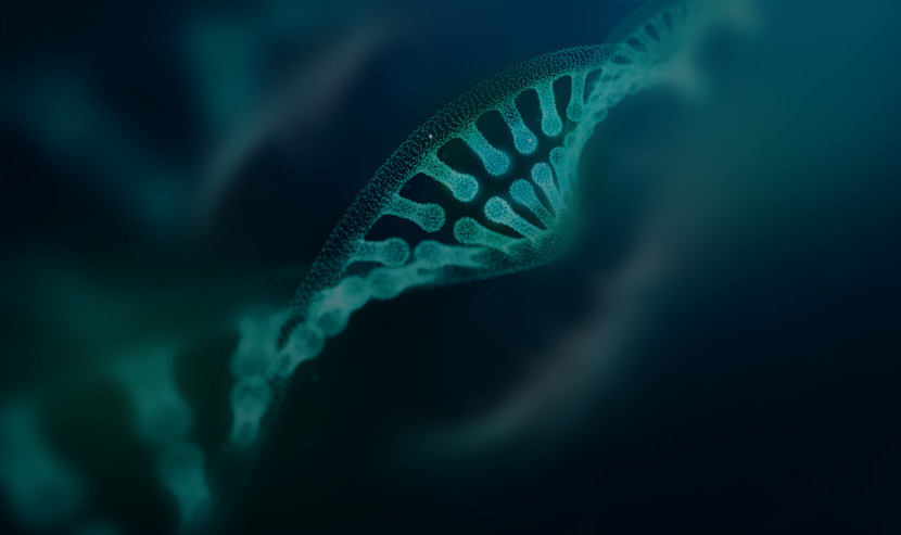 環(huán)凱手機(jī)網(wǎng)站建設(shè)