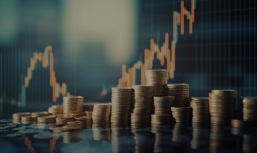 金駿投資官方門戶網(wǎng)站建設(shè)