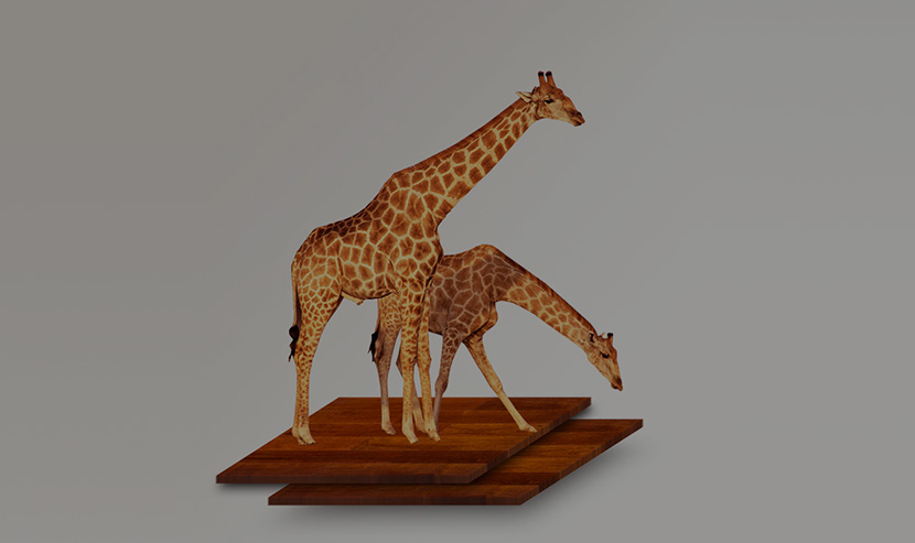 長頸鹿品牌官網(wǎng)建設