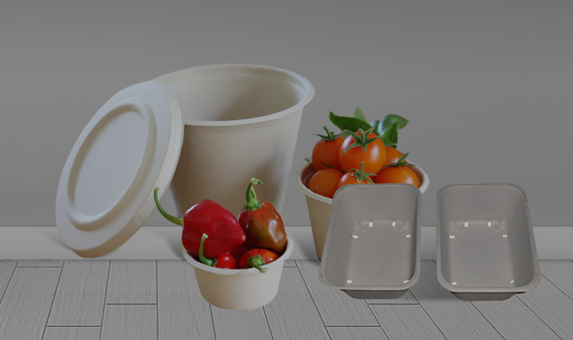 林諾品牌官網(wǎng)建設(shè)