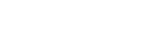 陶陶居品牌官網(wǎng)建設(shè)