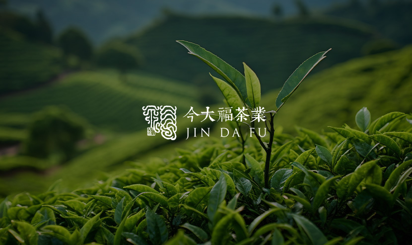 今大福官網(wǎng)改版開(kāi)通上線啦！