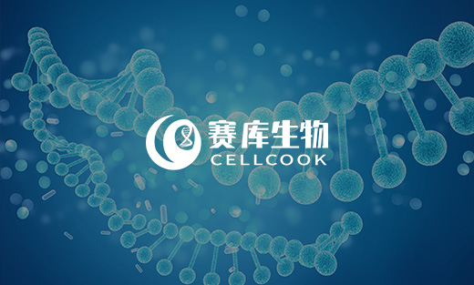 賽庫(kù)小程序網(wǎng)站建設(shè)開(kāi)通上線啦！