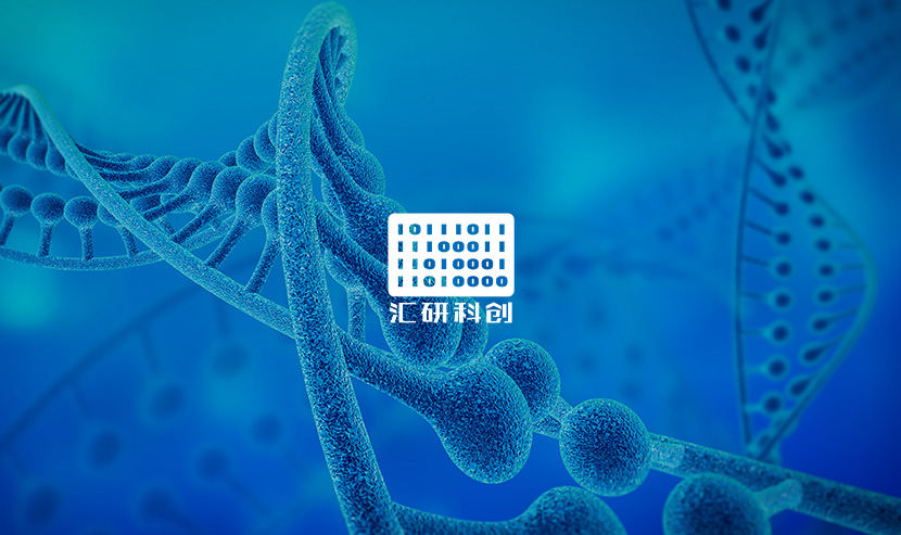 重磅！匯研科創(chuàng)英文外貿網(wǎng)站項目開通上線啦！