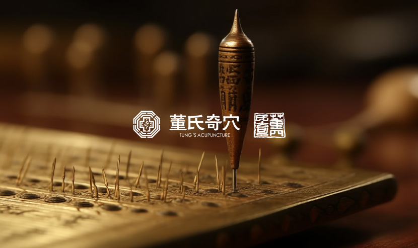 董氏奇穴官方網(wǎng)站建設(shè)項(xiàng)目開通上線啦！