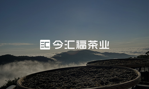今匯福茶葉官方網(wǎng)站建設(shè)項目開通上線啦！