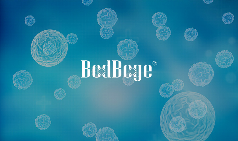 博大博聚官方網(wǎng)站全新升級(jí)迭代圓滿完成