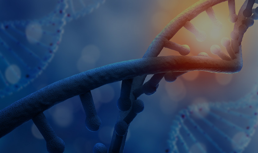 生物科技網(wǎng)站案例 | 賽庫小程序