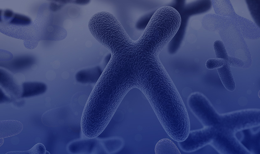 微生物資訊平臺網(wǎng)站建設(shè)