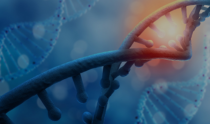 醫(yī)療器械網(wǎng)站案例 | 匯研科創(chuàng)