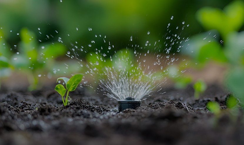 海外獨(dú)立站案例 | 聯(lián)塑柬埔寨