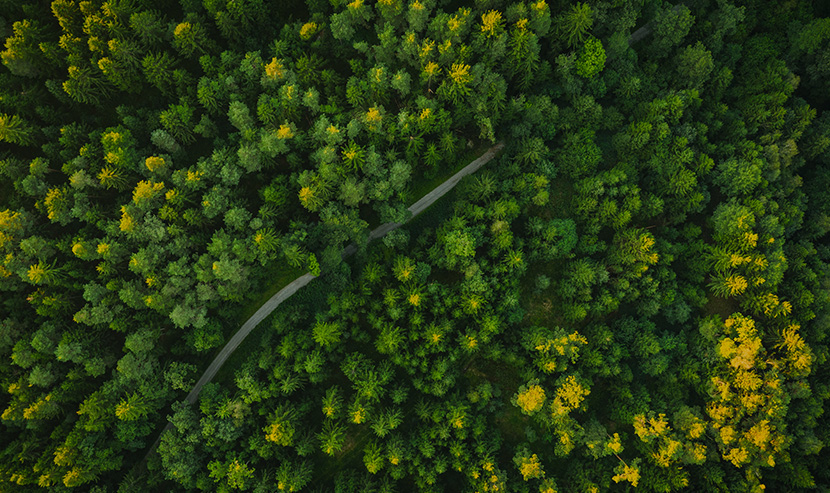 家居網(wǎng)站案例 | 聯(lián)塑領(lǐng)尚