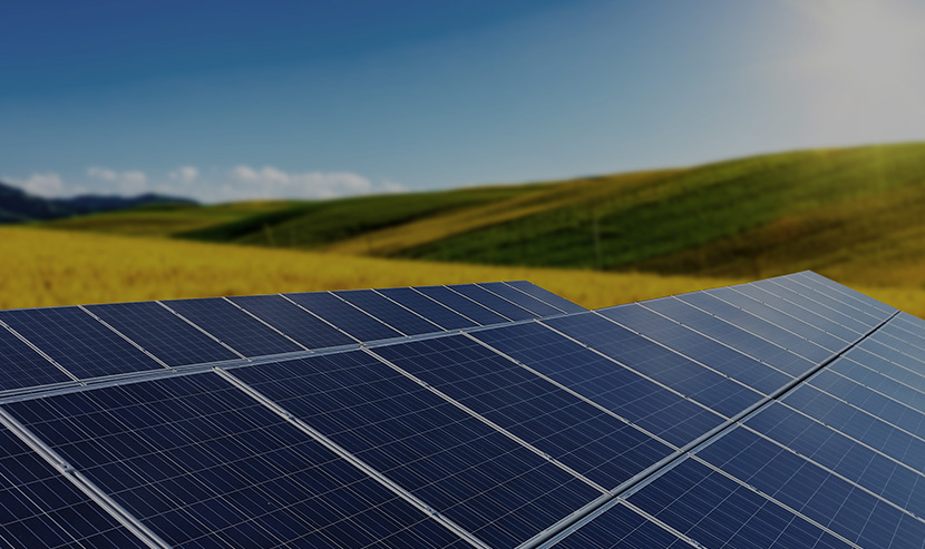 生物科技網(wǎng)站案例 | 東陽光科