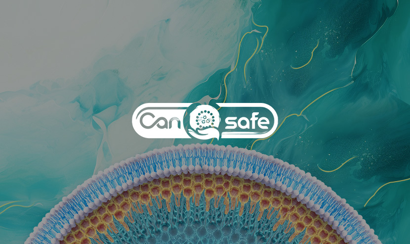 高效協(xié)同，精準交付！優(yōu)網科技 × 廣納康賽醫(yī)藥科技官網正式上線