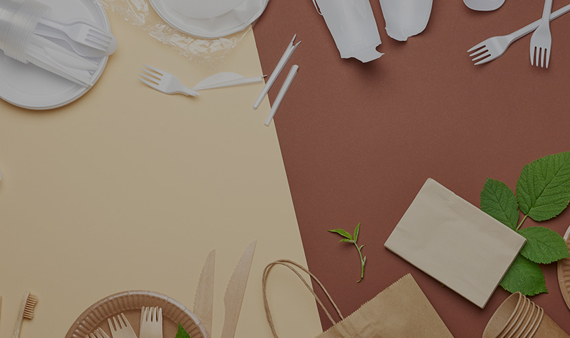 林諾品牌官網(wǎng)建設(shè)