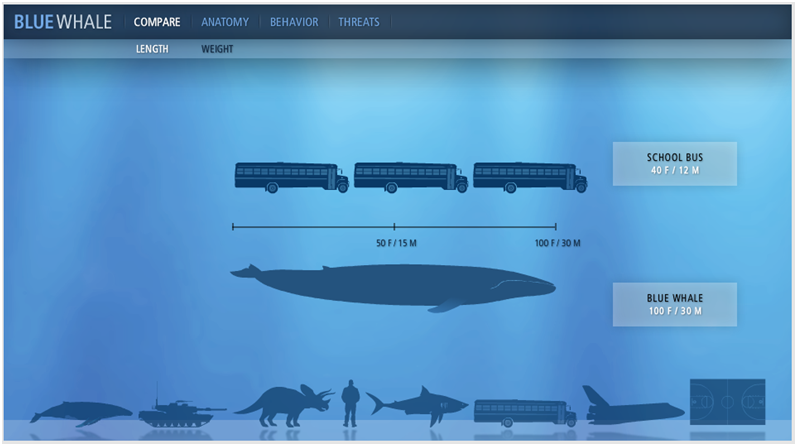 优网科技 广州网站建设-如何在网页中形成视觉层次